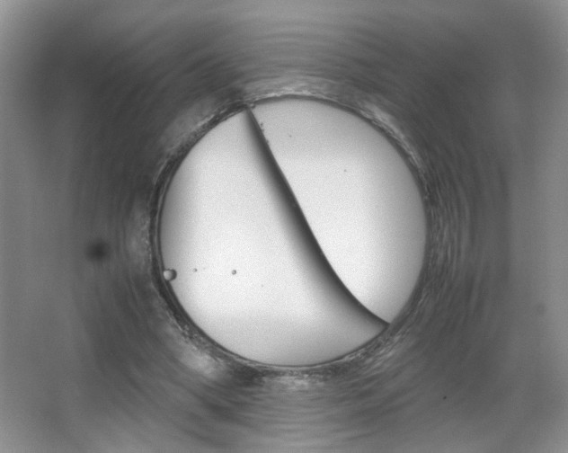 X0000067870394200604131020