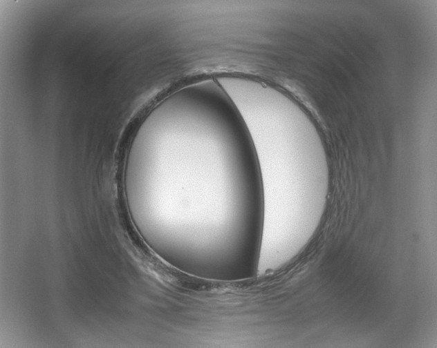 X0000067870395200604131020