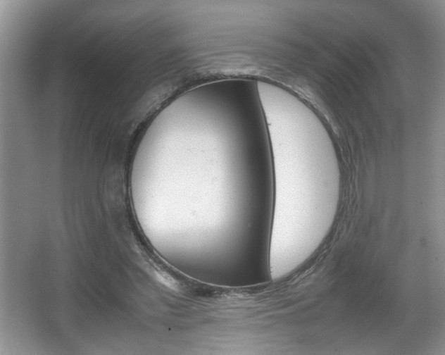 X0000067870397200604131020