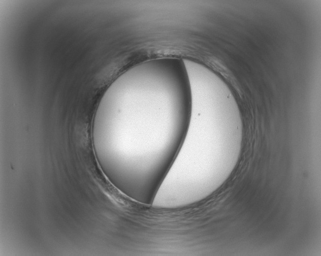 X0000067870401200604131020