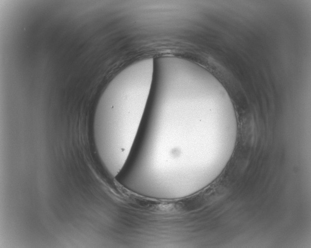 X0000067870406200604131020