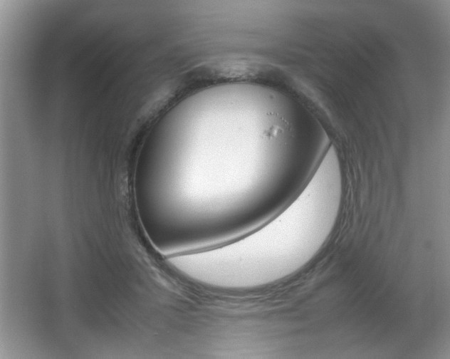 X0000067870407200604131020