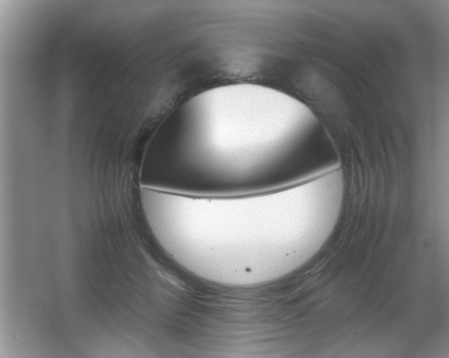 X0000067870412200604131020