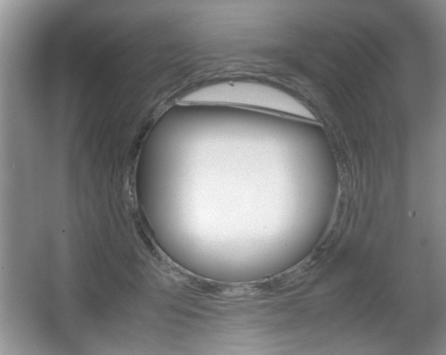 X0000067870415200604131020