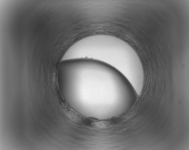 X0000067870417200604131020