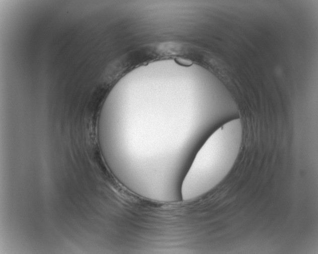 X0000067870418200604131020