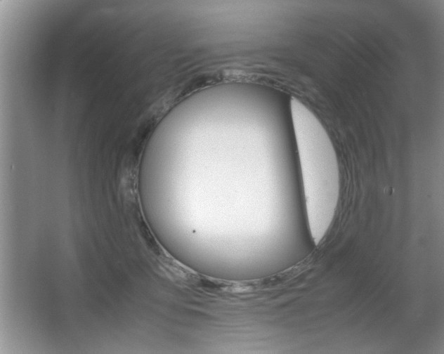 X0000067870419200604131020