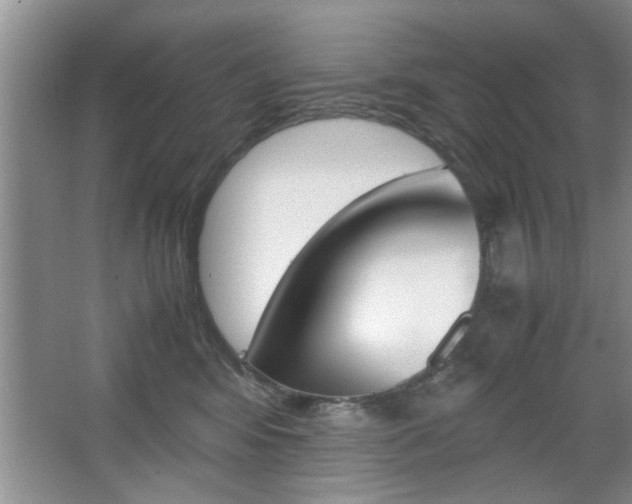 X0000067870424200604131020