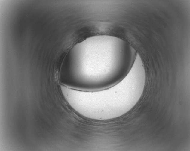 X0000067870425200604131019