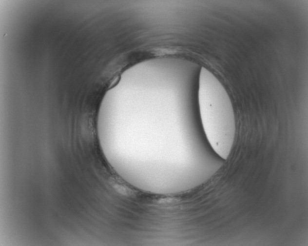 X0000067870426200604131019