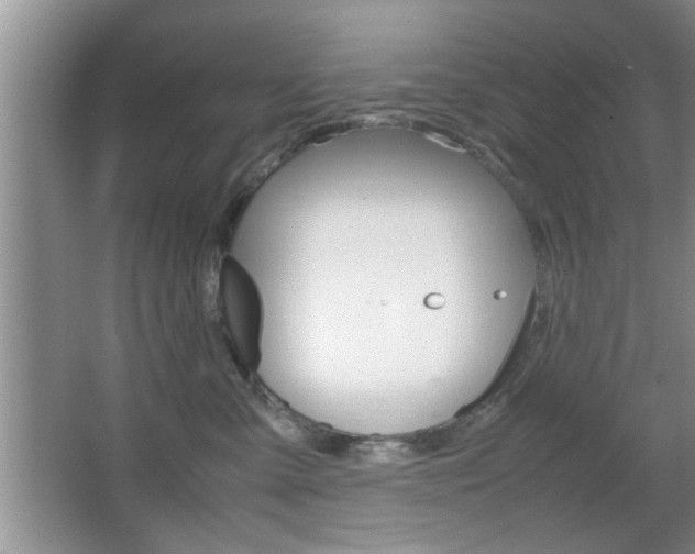 X0000067870427200604131019