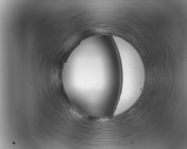 X0000067870428200604131019