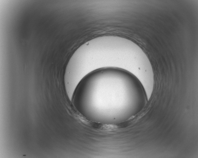 X0000067870429200604131019