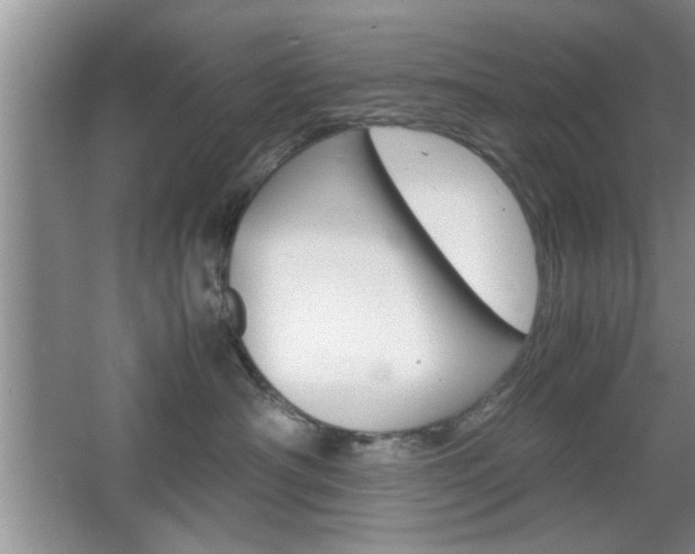 X0000067870430200604131019