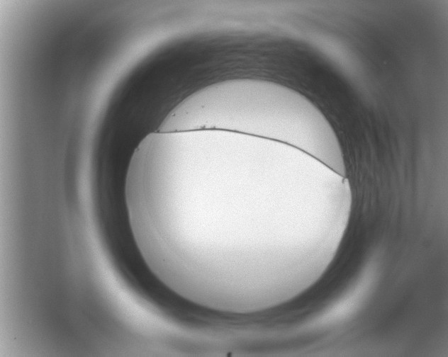 X0000067870431200604131019