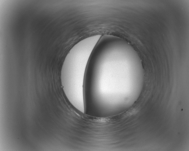 X0000067870432200604131019