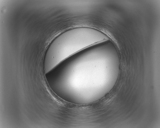 X0000067870433200604131019