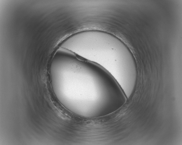 X0000067870434200604131019