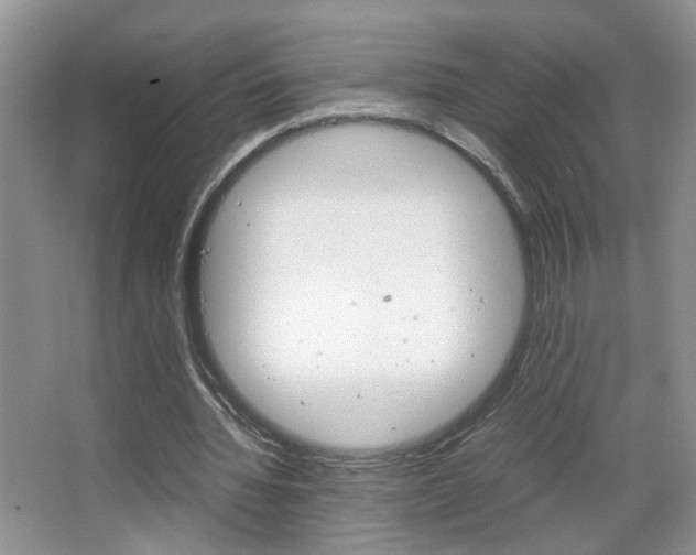 X0000067870436200604131019