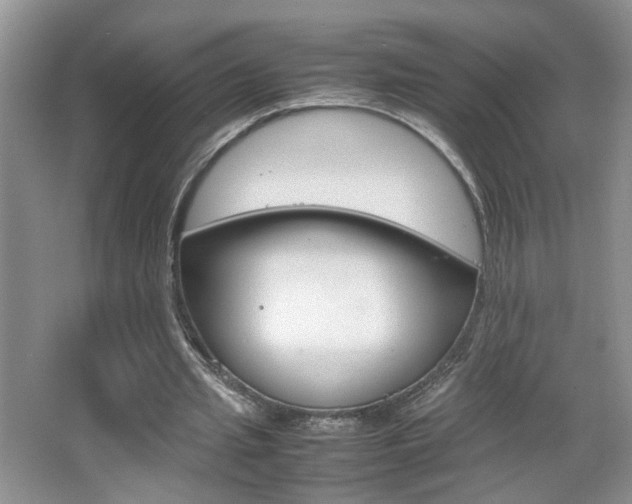 X0000067870437200604131019