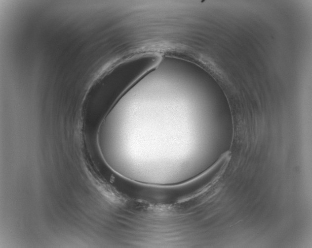 X0000067870440200604131019