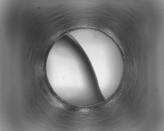 X0000067870441200604131019