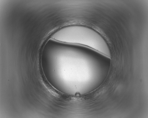 X0000067870442200604131019