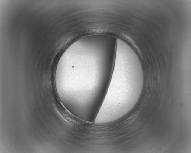 X0000067870443200604131019