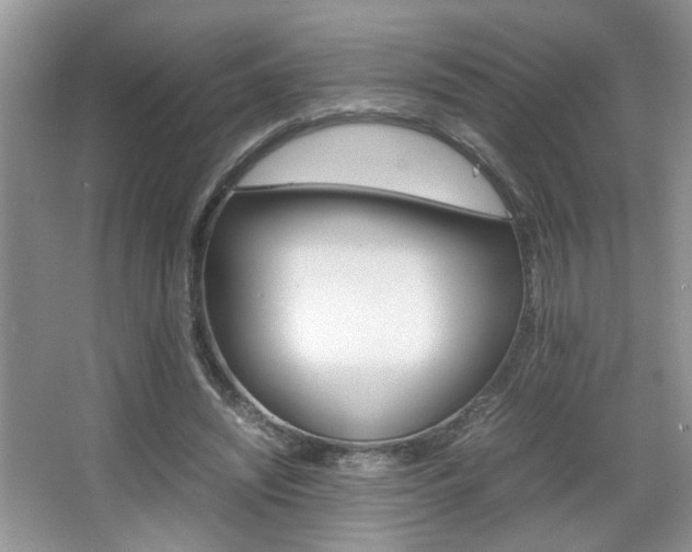 X0000067870444200604131019