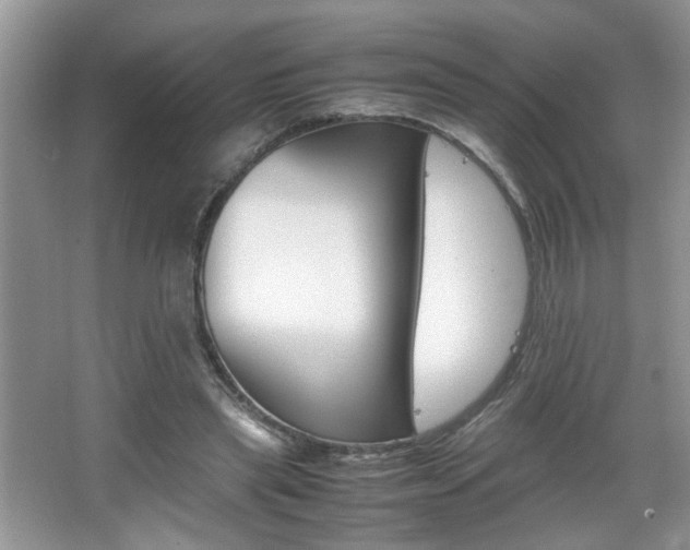 X0000067870445200604131019