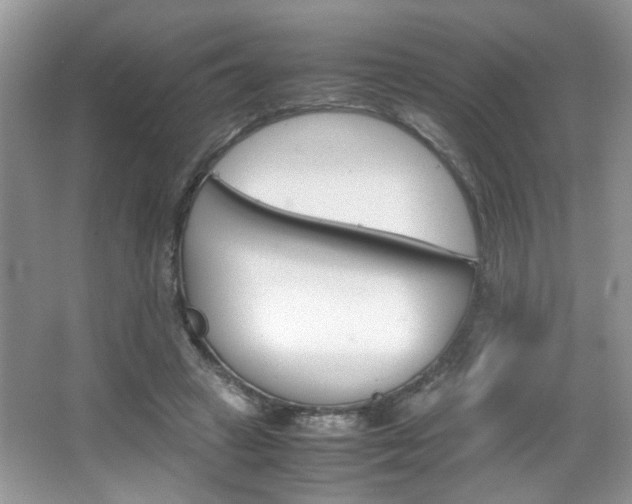 X0000067870449200604131019