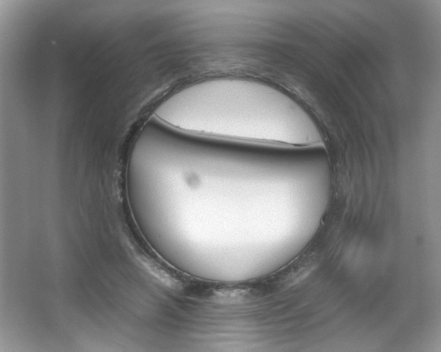 X0000067870450200604131019