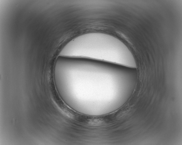 X0000067870451200604131019