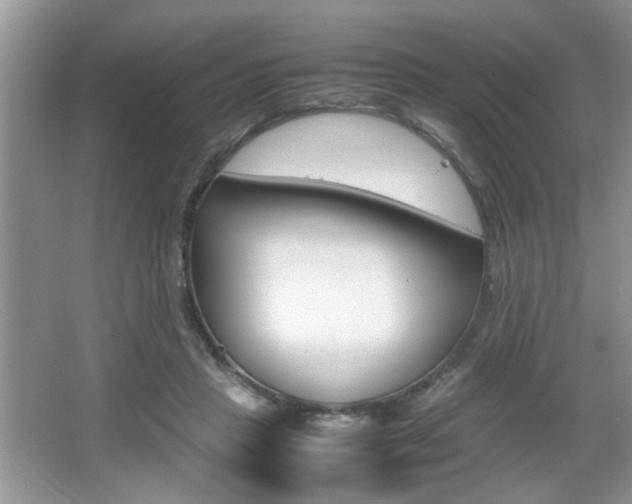 X0000067870453200604131019