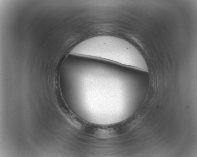 X0000067870455200604131019