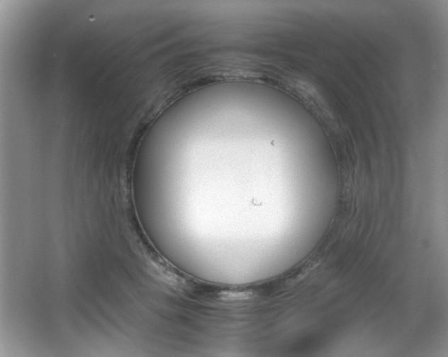 X0000067870457200604131019