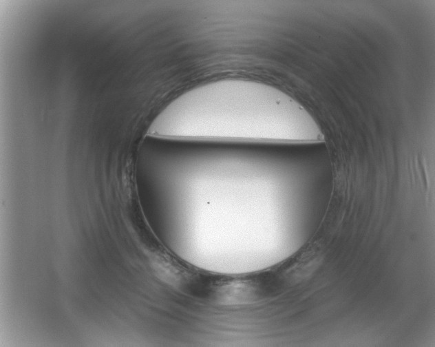 X0000067870460200604131019