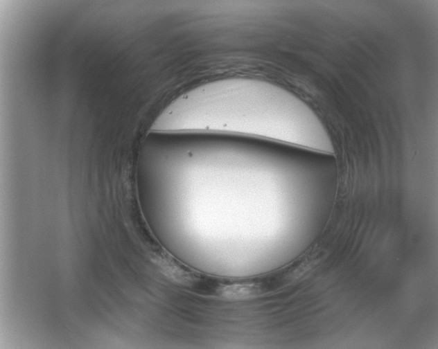 X0000067870461200604131019