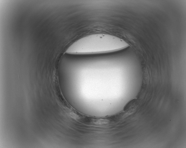 X0000067870463200604131019