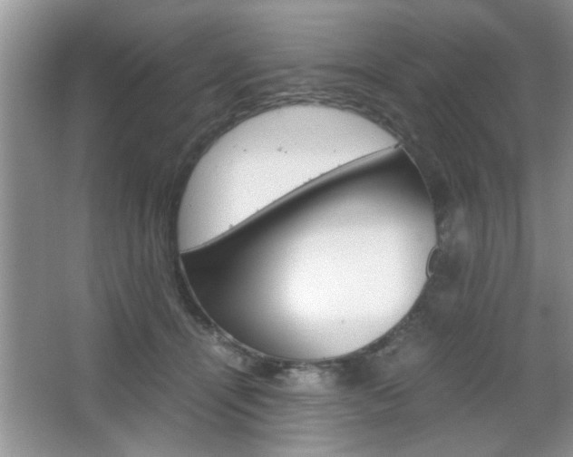 X0000067870464200604131019