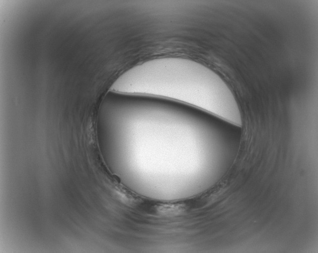 X0000067870465200604131019