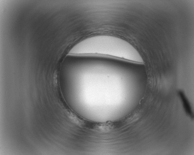 X0000067870466200604131019