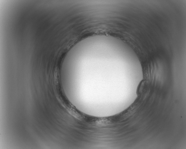 X0000067870468200604131019