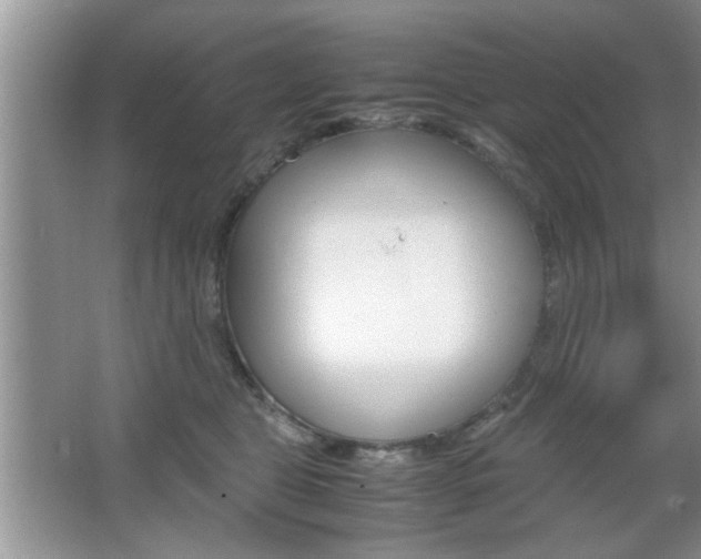 X0000067870469200604131019