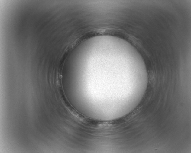 X0000067870470200604131019