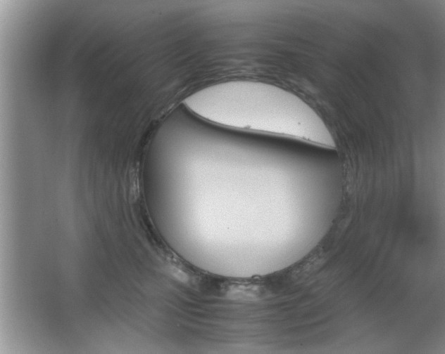 X0000067870471200604131019