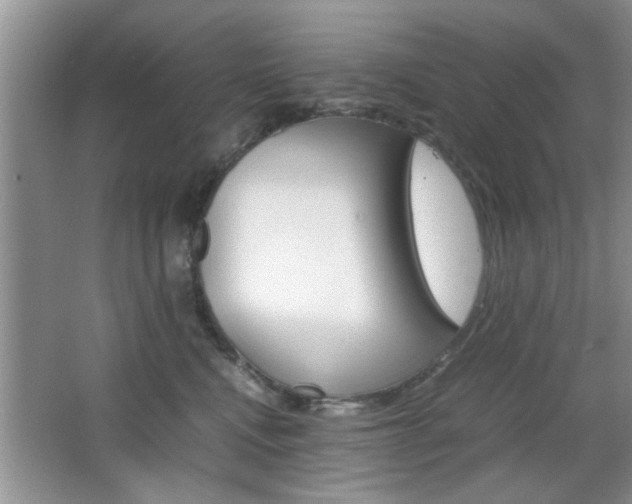 X0000067870472200604131019