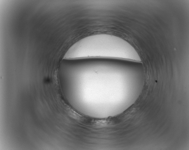 X0000067870473200604131019