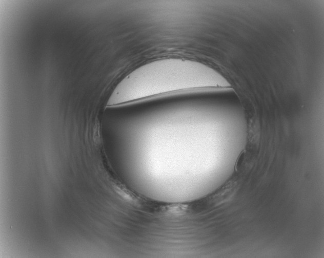 X0000067870474200604131019