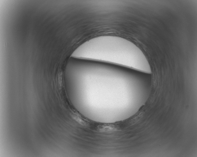 X0000067870475200604131019